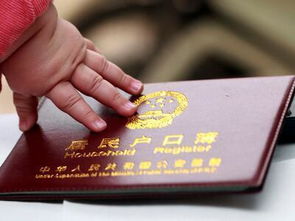 房产证拿到怎么落户