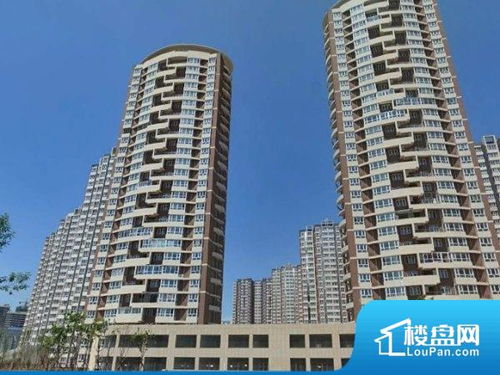 大桥爱家房产怎么样