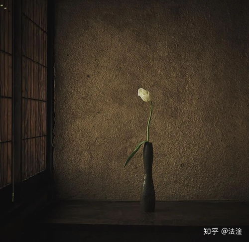 房产拍照怎么拍出高级感