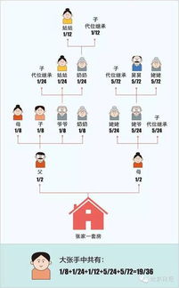 舅舅去世了房产怎么继承