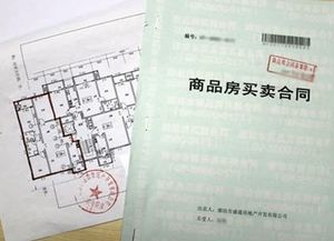 房产交房脚本怎么写范文