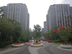 鹤山天赐房产怎么样