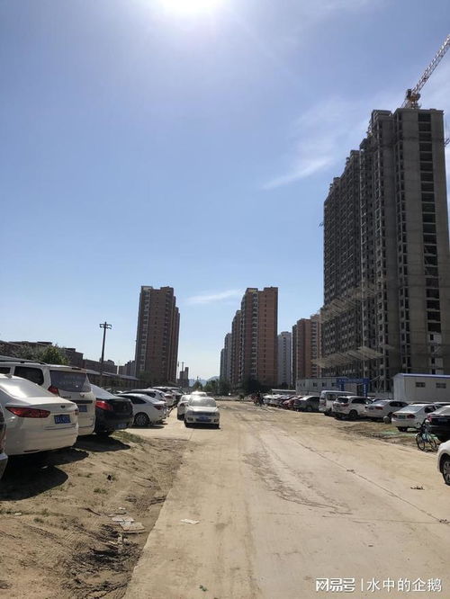 石家庄没房产怎么上学