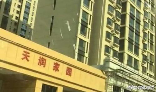 石家庄没房产怎么上学