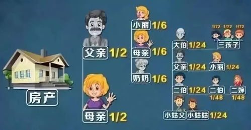 儿子女儿房产怎么分配