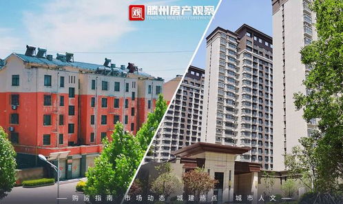 中坝做房产怎么选择