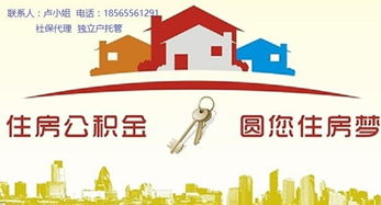 集体房产归谁所有怎么查