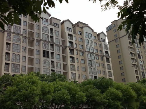 鄢陵鼎立房产怎么样