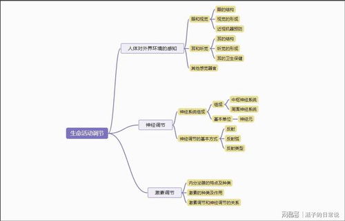 房产思维导图怎么制作