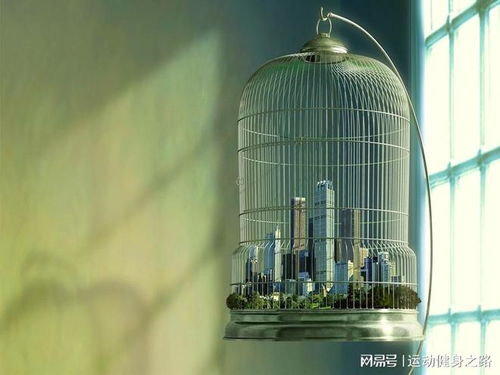 宁波房产是否抵押怎么查