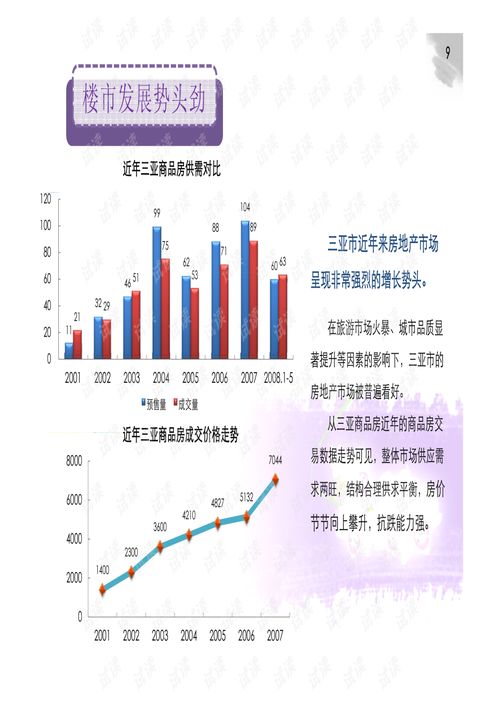 房产项目巡游总结怎么写
