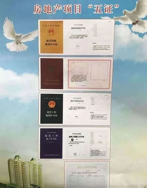 房产项目资金情况怎么写