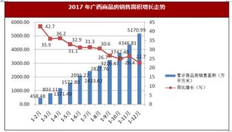 房产项目资金情况怎么写