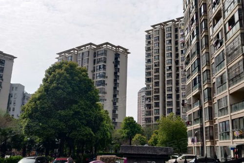 上海怎么开房产中介