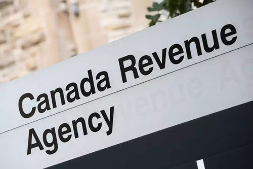 想要了解房产怎么问