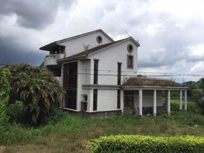 附属房产有违建怎么处理