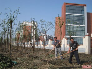 房产绿化怎么做亮点