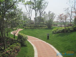 房产绿化怎么做亮点