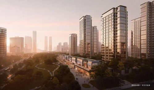 金茂集团房产怎么样