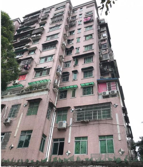 房产安置回迁户怎么处理