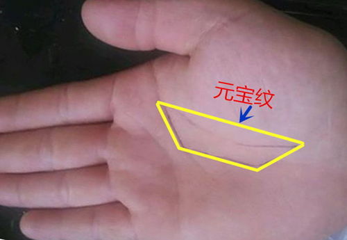 手掌怎么看房产运