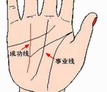 手掌怎么看房产运