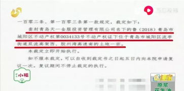 房产预查封了怎么解封