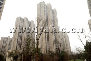 怎么发布扬州房产频道