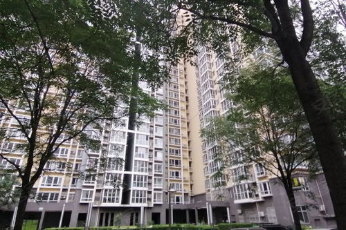 北区房产质量怎么样