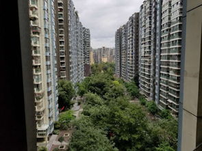 金阳房产怎么样啊