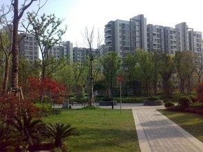 江正房产怎么样