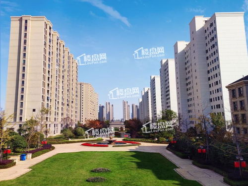 美宅房产怎么样