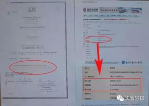 公司注销后房产怎么处理