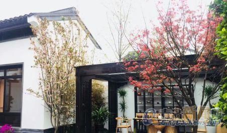 青岛小院房产怎么样