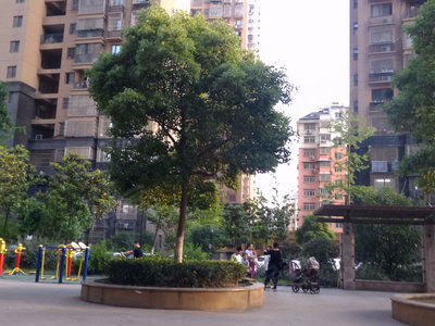 来安白云房产怎么样