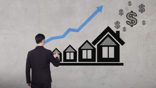 怎么找所有房产达人