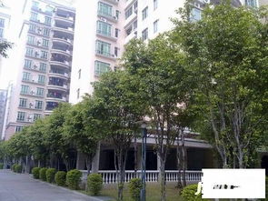 中银国际房产怎么样