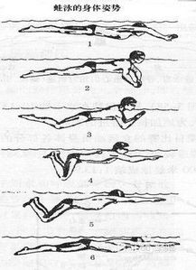 房产讲解动作怎么做