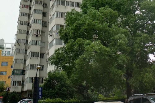 柳林房产经纪怎么样