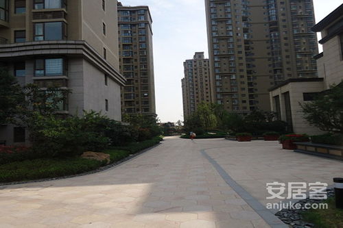 西安阿呆房产怎么样