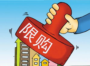 房产 继承 限购怎么办 房产 继承 限购怎么办