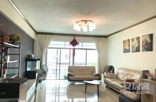 怎么查茂名房产信息