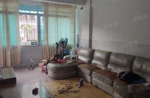 怎么查茂名房产信息