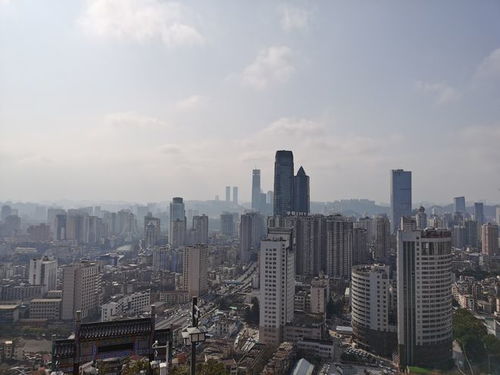 荒废的城市房产怎么处理