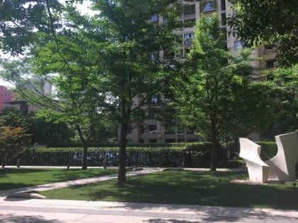 徐汇枫林房产怎么样