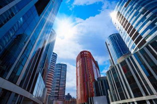 城市房产怎么确权的啊