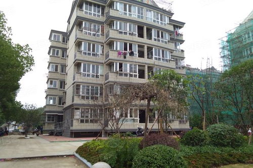 仙居恋家房产怎么样 仙居恋家房产怎么样