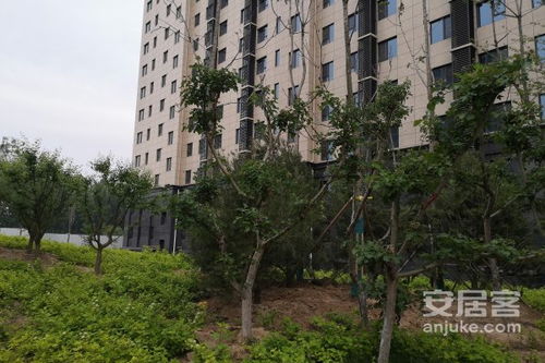 重庆中科房产怎么样 重庆中科房产怎么样