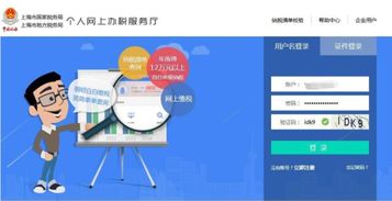 咨询房产税怎么查