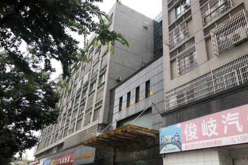 金巢房产怎么样